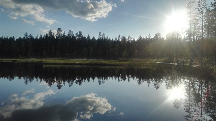 Me Naiset Blogit Oikomutkanen Unelmista
