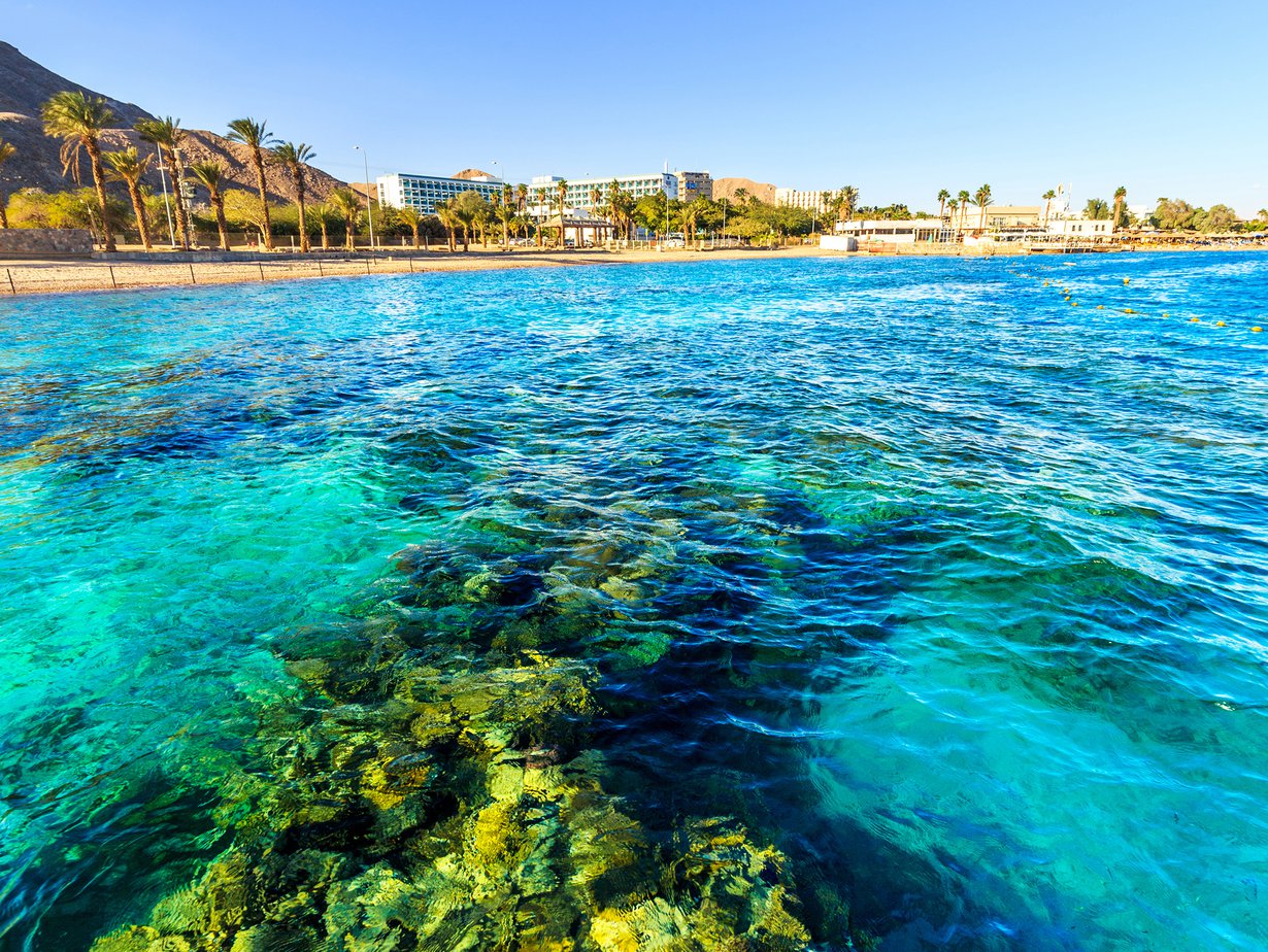 Bongaa mahtava mureena! Eilat on snorklaajan paratiisi. Kuva: Shutterstock