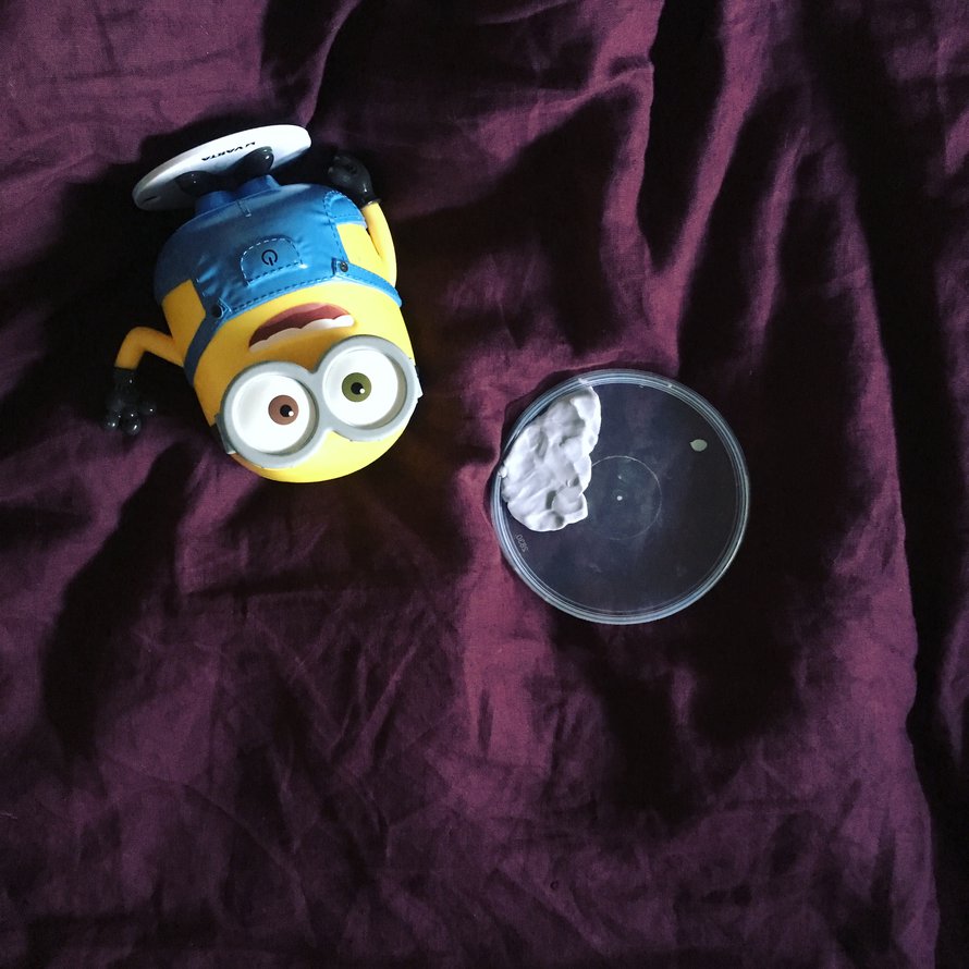 Muovi leikittelee pellavan kanssa. Löydätkö kuvasta myös liman?