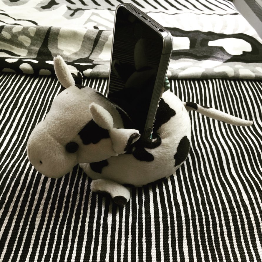 Muuuu, nyt minäkin asun täällä!
