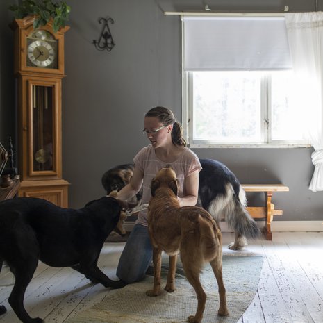 Tämä on kuva Anne-Marin olohuoneesta. Kalustus oli valmiina, kun Anne-Mari osti pientilansa. Hän on siihen tyytyväinen. ”Mitä Palokankaalta ei löydy, sitä ei tarvita.”