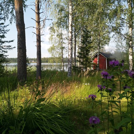 Kesämökeistä tuli taas trendikkäitä.