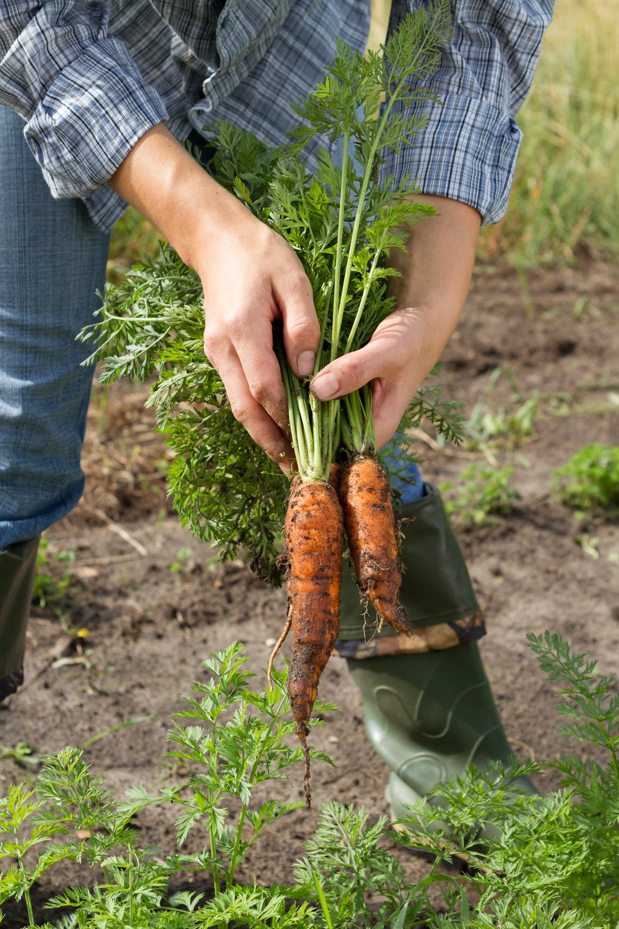 Kuva: <span class="photographer">Shutterstock</span>