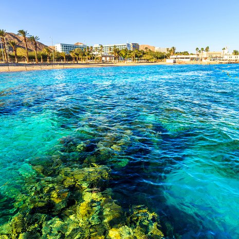 Bongaa mahtava mureena! Eilat on snorklaajan paratiisi. Kuva: <span class="photographer">Shutterstock</span>