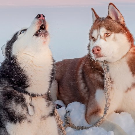 Tunnistatko itsesti kuvasta? Kuva: <span class="photographer">Shutterstock</span>