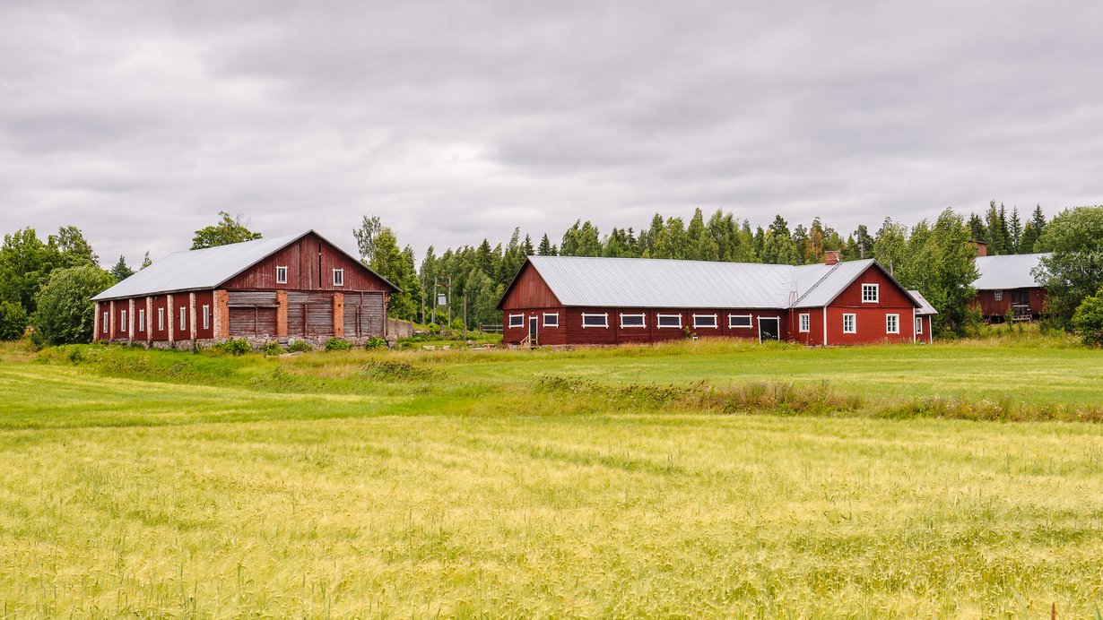 Talon ostaminen on elämän isoimpia hankintoja, ja sen kanssa ei kannata hötkyillä. Kuvituskuva.