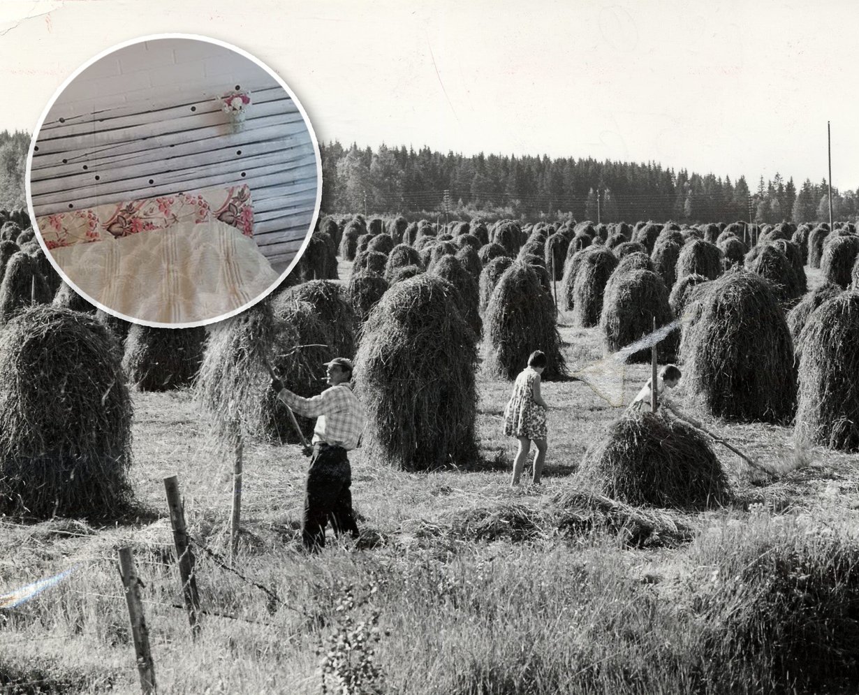 Seivässisustaminen – helppoa kuin heinänteko! Kuvat: Shutterstock ja lukijan kuva
