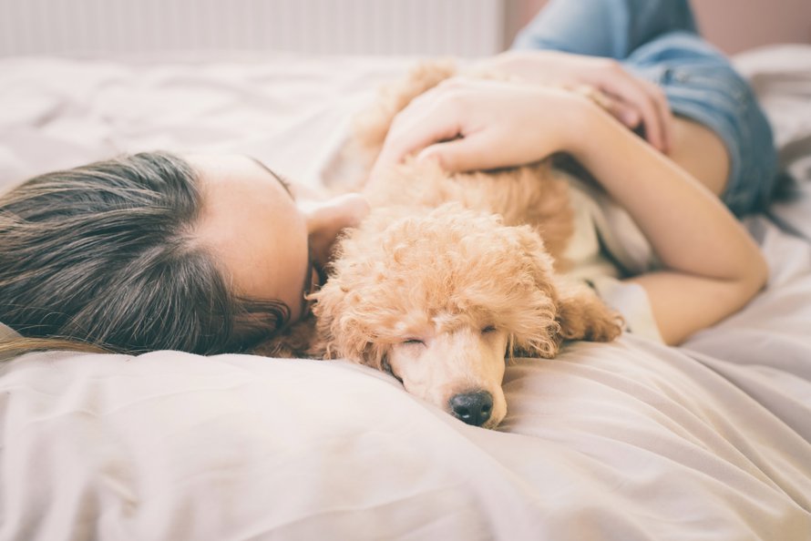 Tutkimusten mukaan lemmikin paijaaminen vähentää stressiä, laskee verenpainetta ja nostaa mielialaa. Mutta kyllä koirakin siitä hyötyy! Kuva: <span class="photographer">Shutterstock</span>