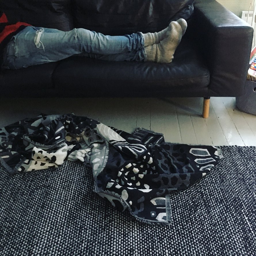 Viltti, tuo talvipäivien sulostuttaja.