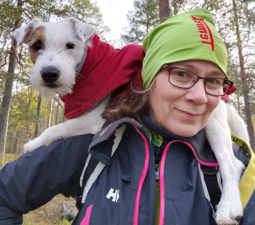 Harvinainen näky: Aapo lepäilee omistajansa Tanja Sarajärven selässä.