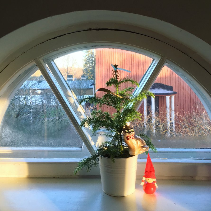 Valitse pieneen kotiin mittasuhteiltaan ahtautta imarteleva kuusi. Kyllä sekin oikealla hoidolla varisee.