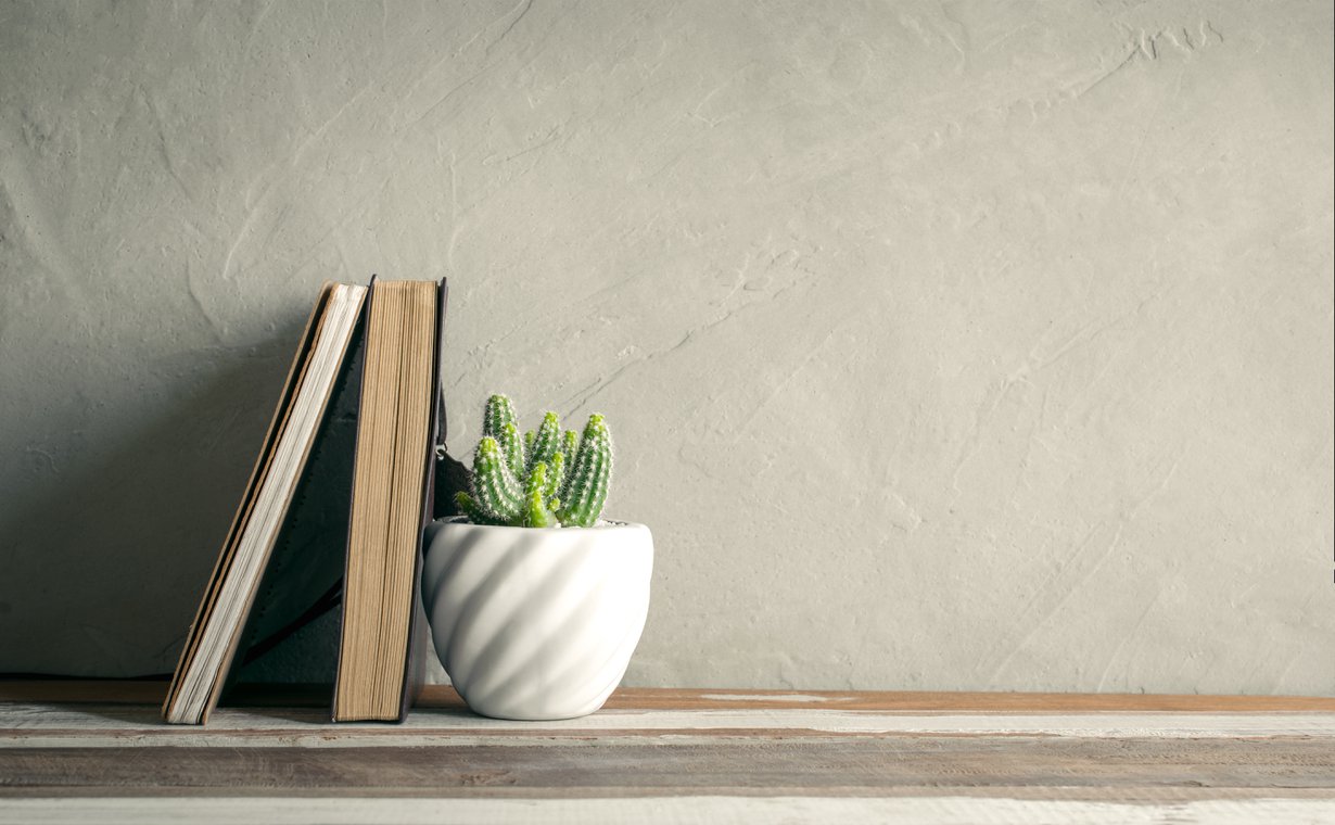 Piikikäs kaktus ei kuulemma toivota tervetulleeksi kotiin. Sama vaikutus on masentavasti nimetyillä kirjoilla. Kuva: Shutterstock