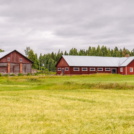 Talon ostaminen on elämän isoimpia hankintoja, ja sen kanssa ei kannata hötkyillä. Kuvituskuva.