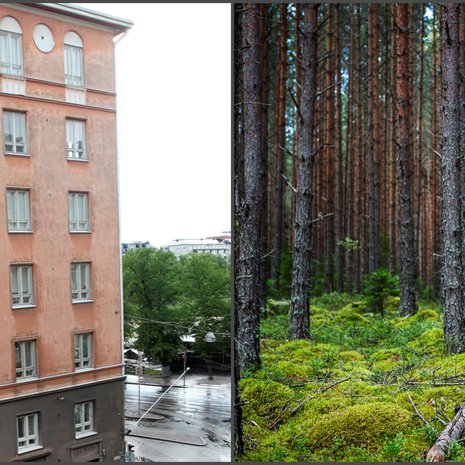 Luonnonläheisyyskin on katsojan silmissä.