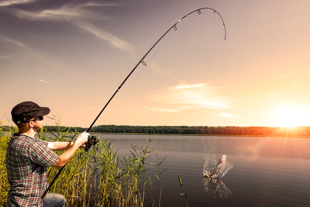 Joku ihana vonkale siellä varmasti. Kuva: Shutterstock