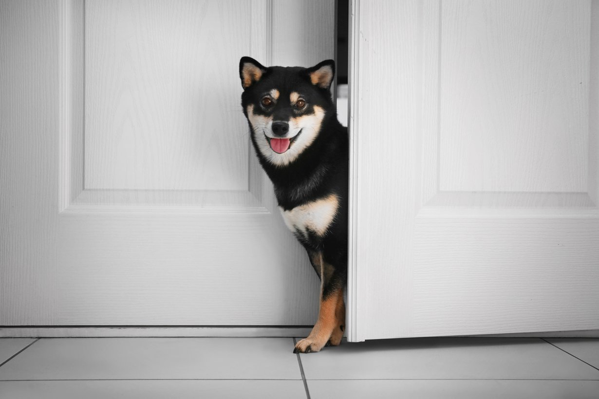 Mitäs tänään jodlataan? Kuvituskuva: Shutterstock