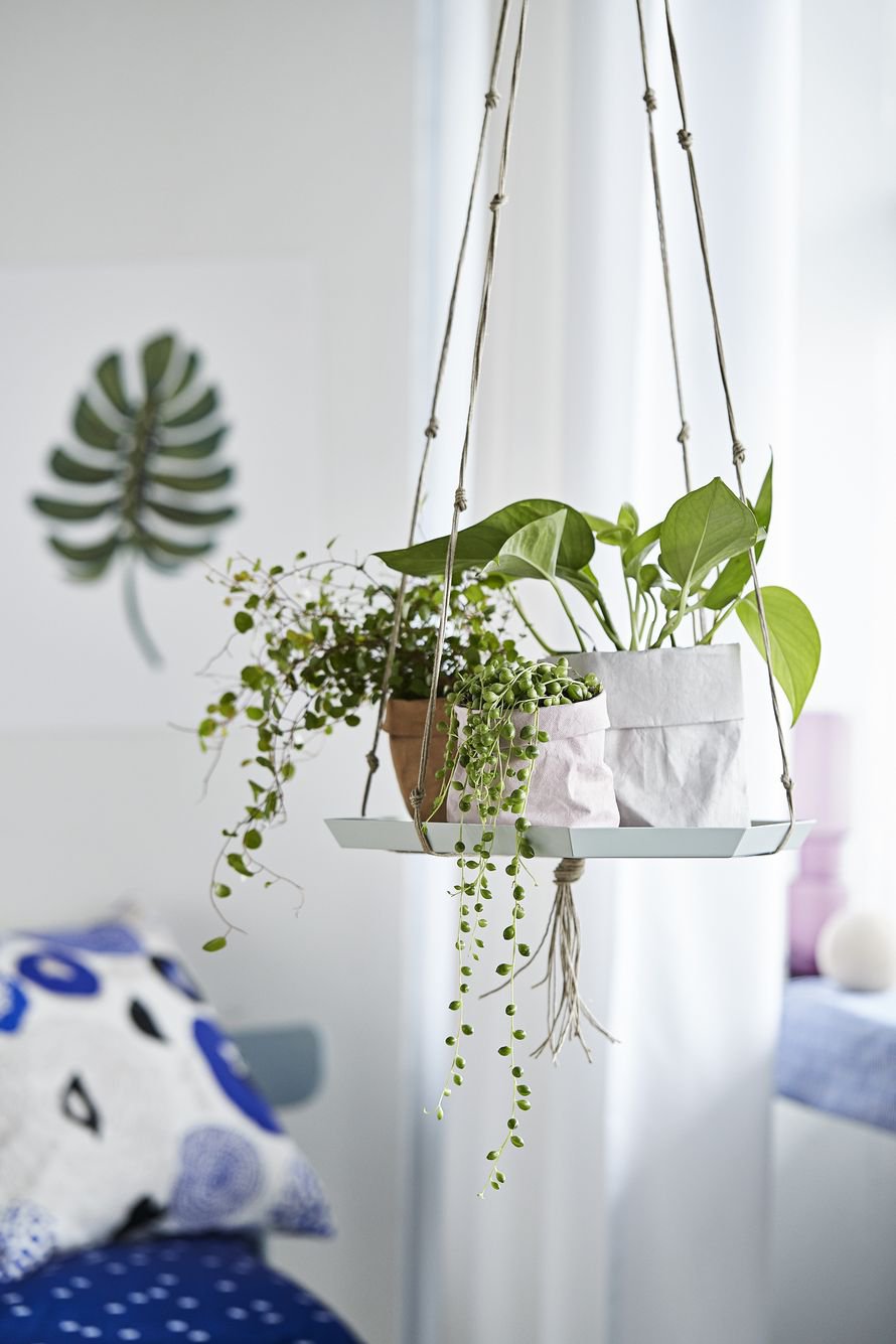 Kaunein asetelma syntyy kasveista, joilla on erimuotoiset, -pituiset ja -väriset lehdet. Keittiössä toimivat yrtit. Kuva: <span class="photographer">Päivi Ristell</span>