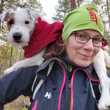 Harvinainen näky: Aapo lepäilee omistajansa Tanja Sarajärven selässä.