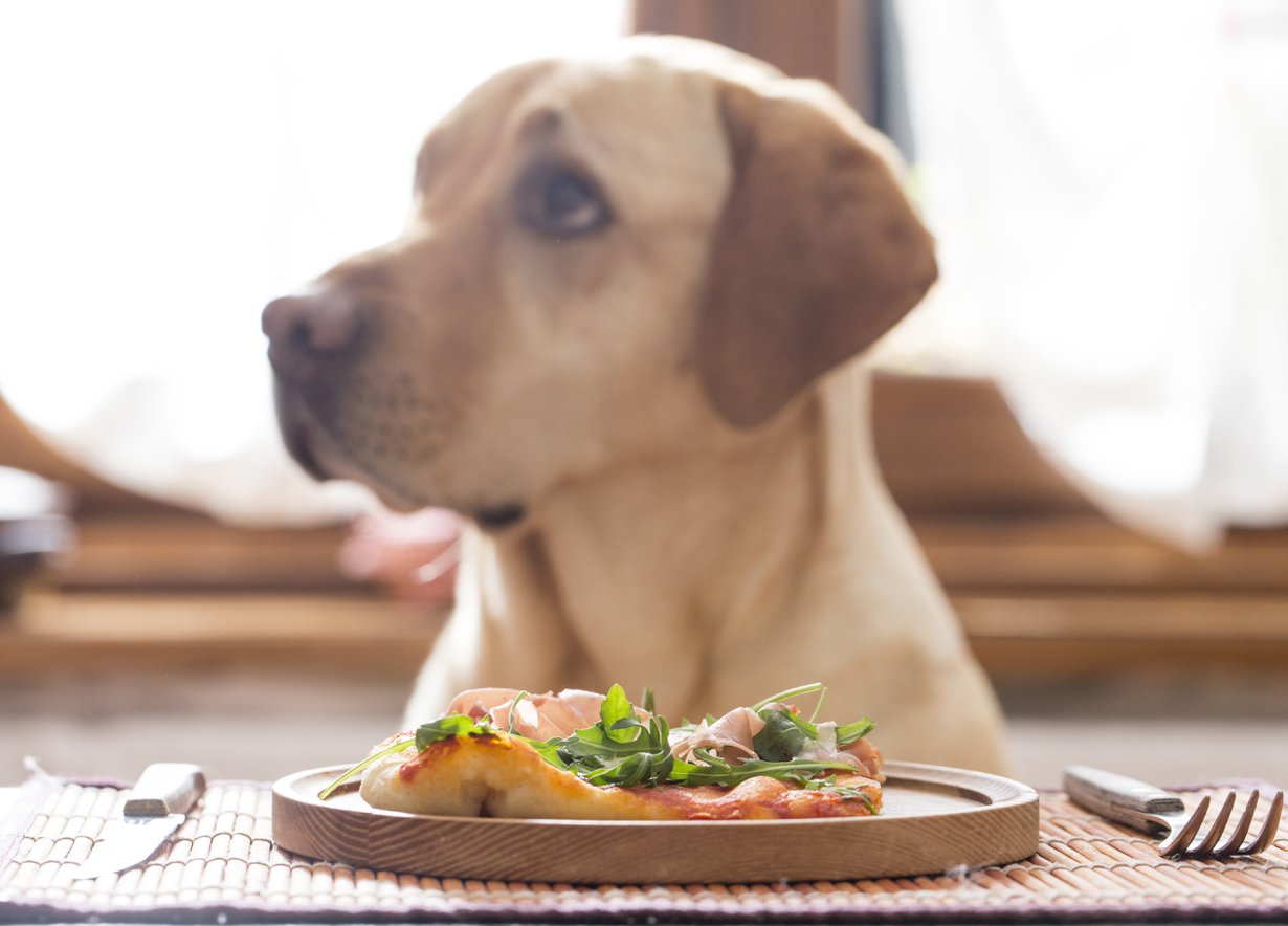 Älä anna katseen hämätä! Kuva: Shutterstock