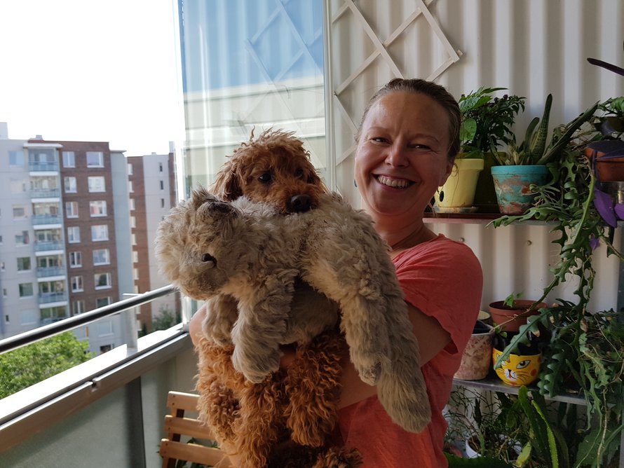 Putte-koira viihtyy parvekkeen lämpimissä kohdissa ja ottaa usein kissakaverinsa mukaan. ”Putelta pitää vähän varjella kasveja. Viime vuonna se söi kaikki tomaatinraakileet.”