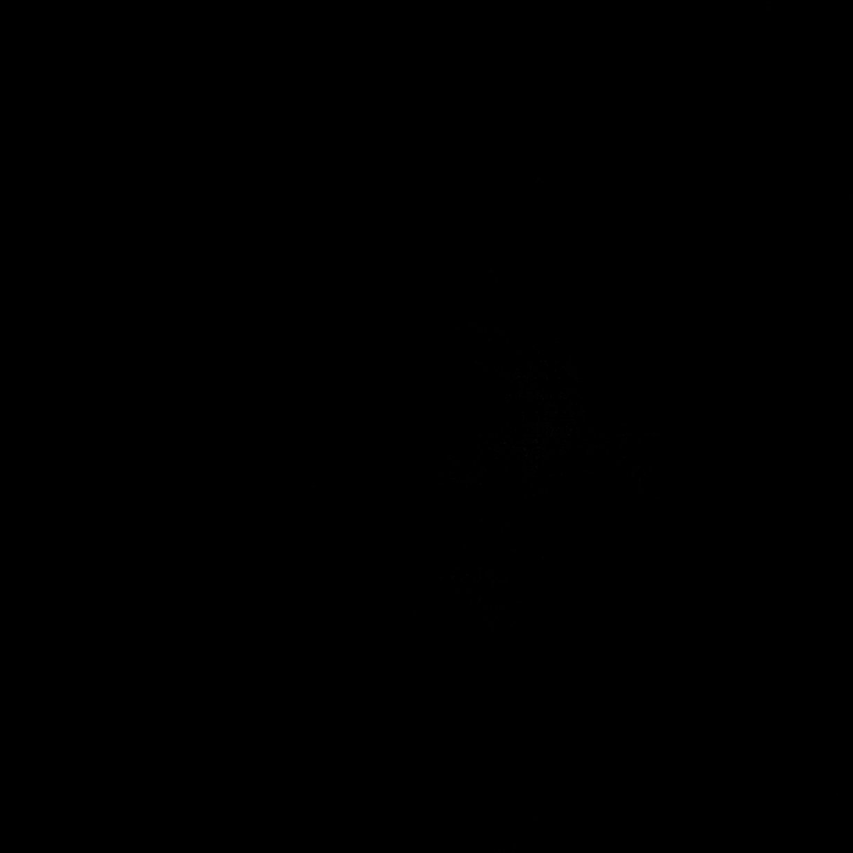 Instagram täyttyi tiistaina mustista ruuduista. Tällä haluttiin osoittaa kunnioitusta Black Lives Matter -ihmisoikeusliikkeelle ja rasisminvastaiselle työlle sekä antaa ääni ei-valkoisille.