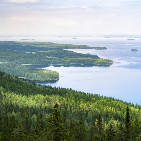 Oi Suomi!