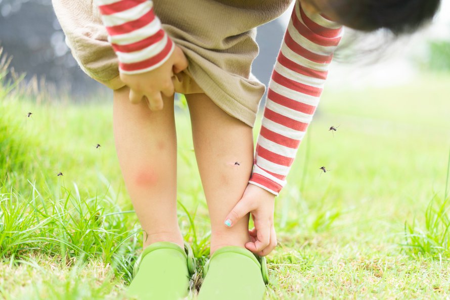 Itikoita ei kyllä ole ollut ikävä, vaikka kesäänhän nekin kuuluvat. Kuva: <span class="photographer">Shutterstock</span>