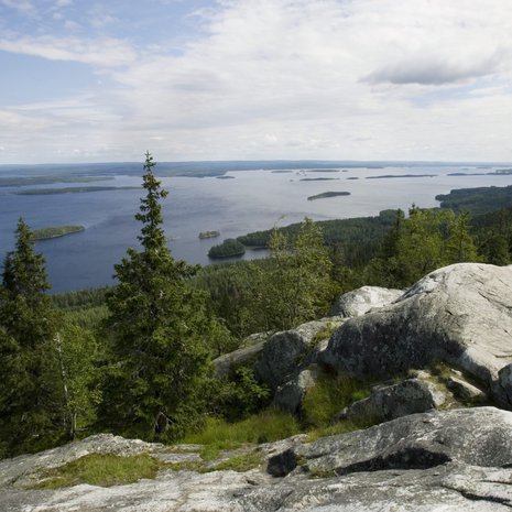 Siintääkö sisimmässäsi Kolin kansallismaisema? Kuva: <span class="photographer">Sanoma-arkisto / Tea Karvinen</span>