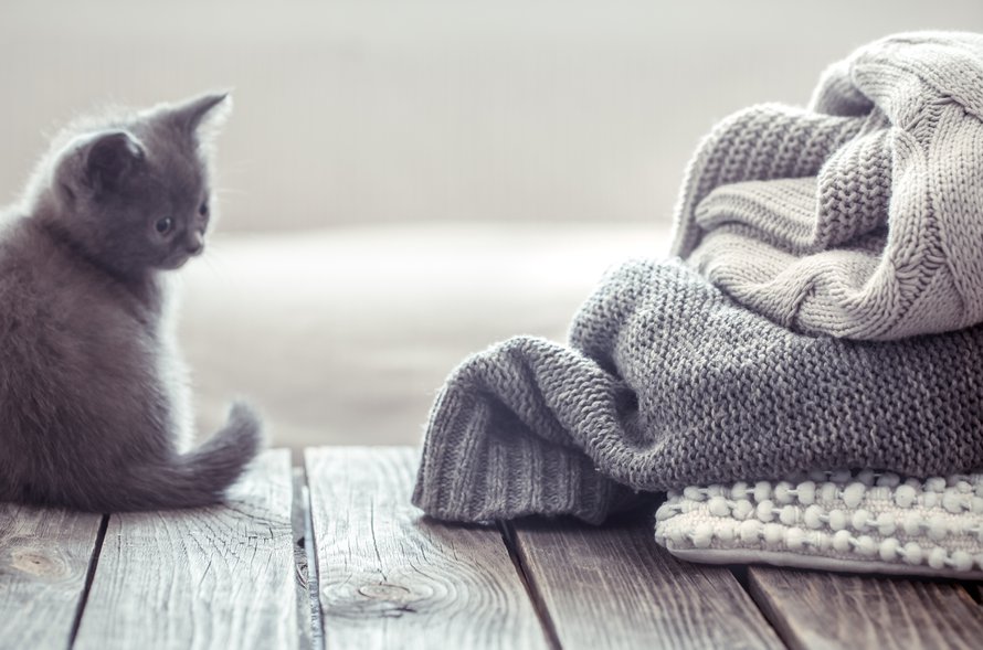 Pese ja käsittele hellävaroen! Kuva: <span class="photographer">Shutterstock</span>