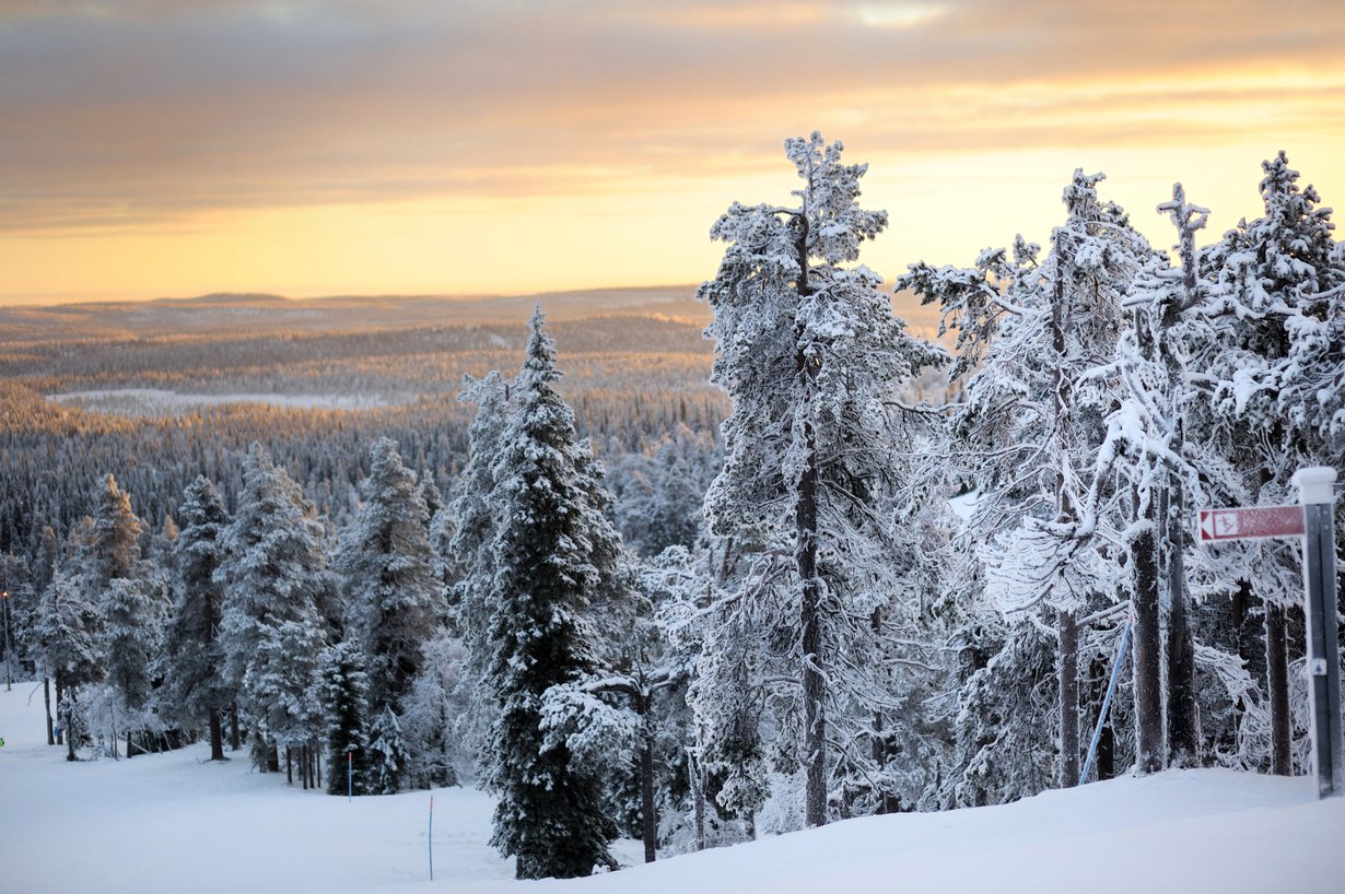 Viikon epäolennainen: 5 syytä rakastaa Suomea | Me Naiset