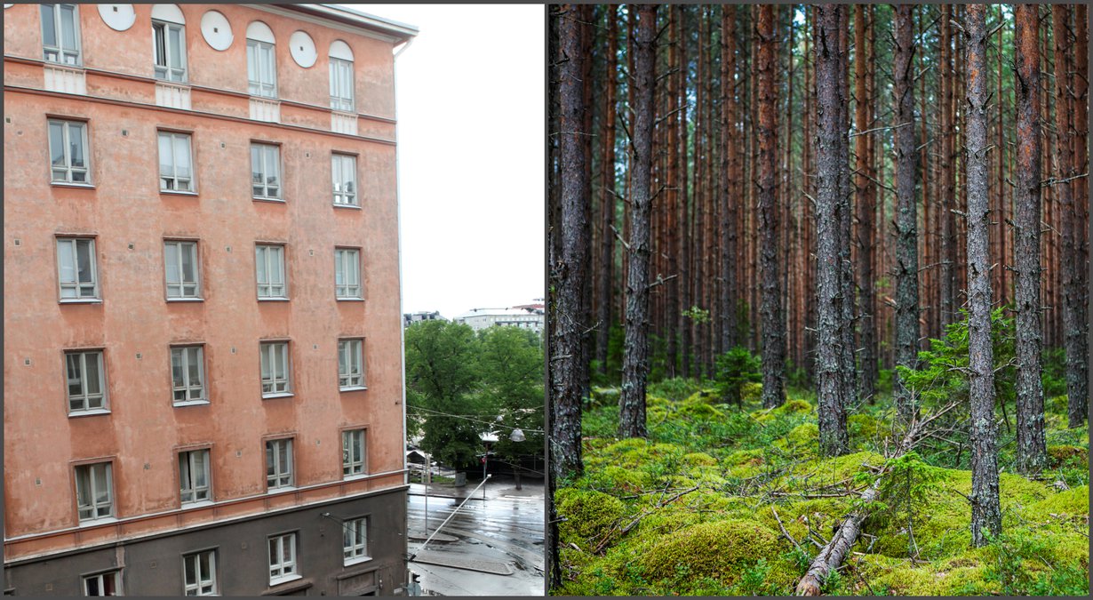 Luonnonläheisyyskin on katsojan silmissä.